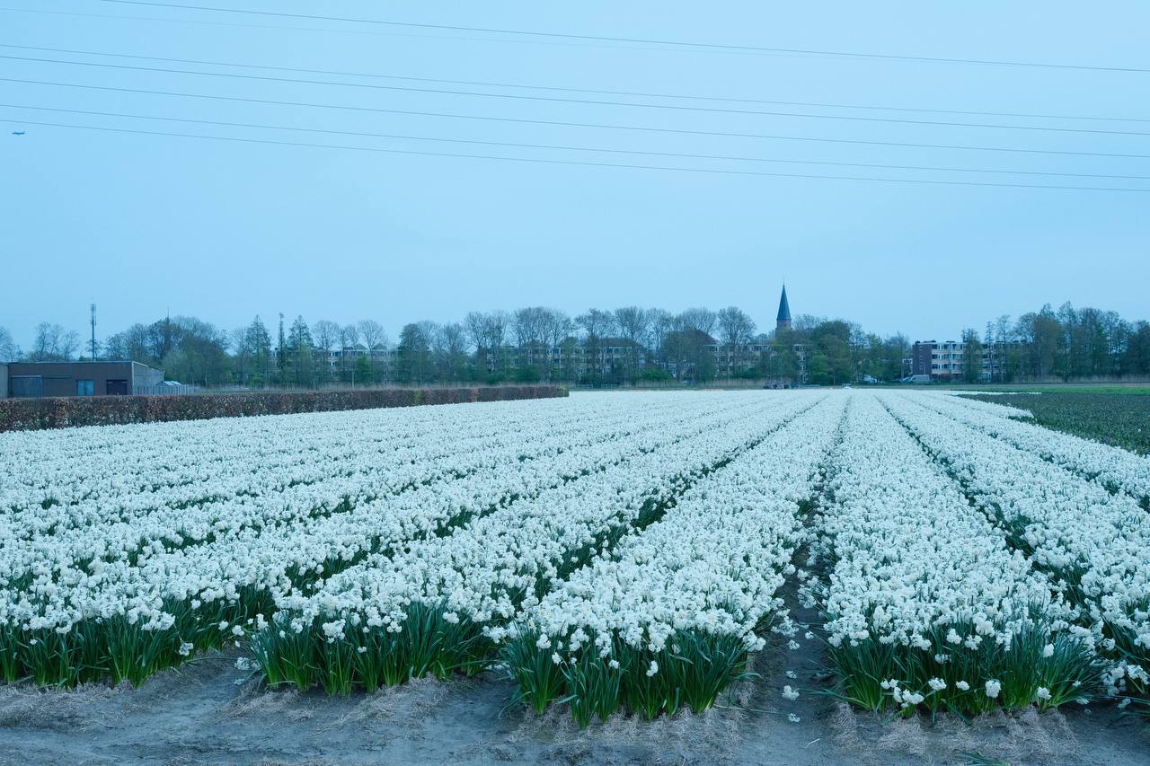 Noordwijk #cinematiclife