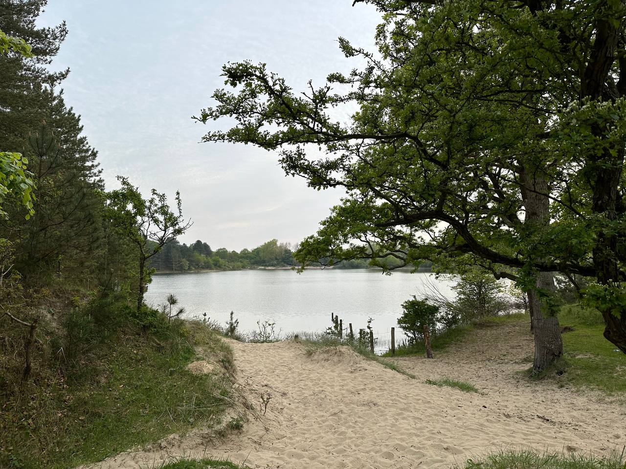 Nationaal Park Zuid-Kennemerland #cinematiclife