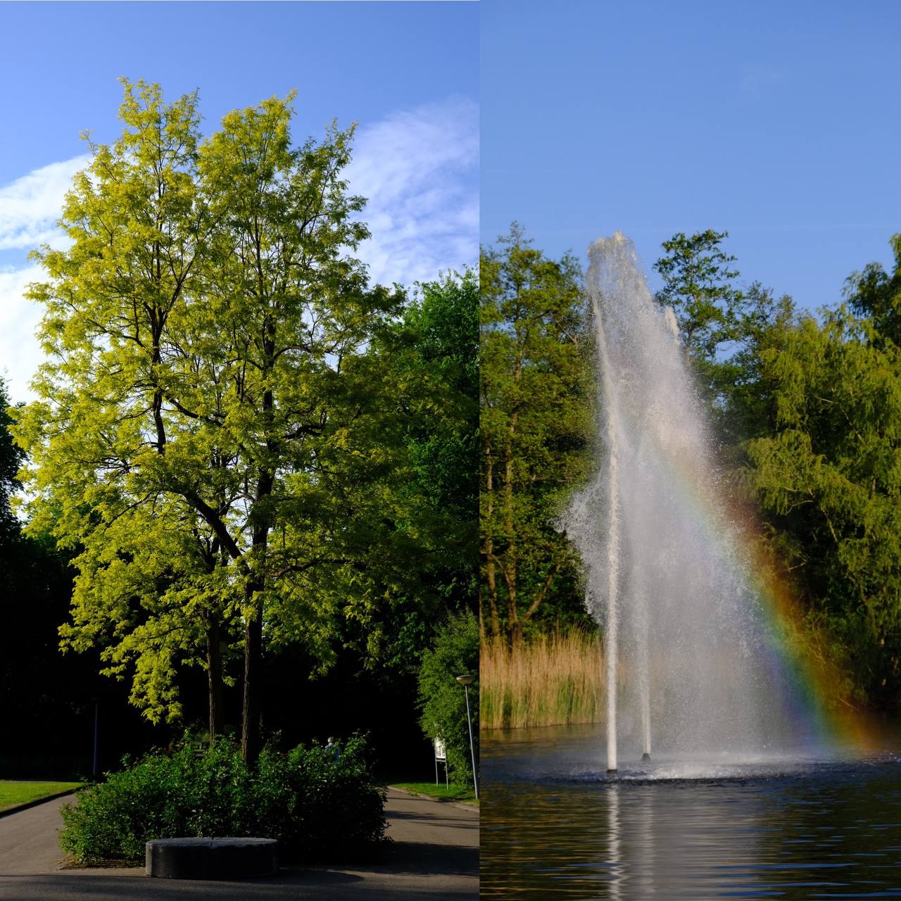 #amsterdam #amstelpark