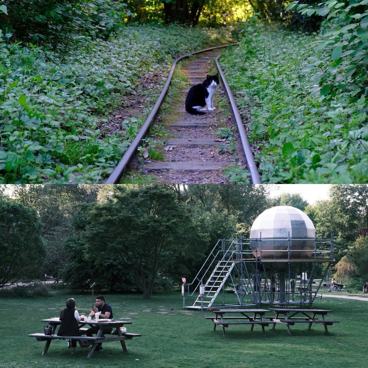 #amsterdam #amstelpark