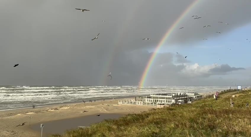 Zandvoort #cinematiclife